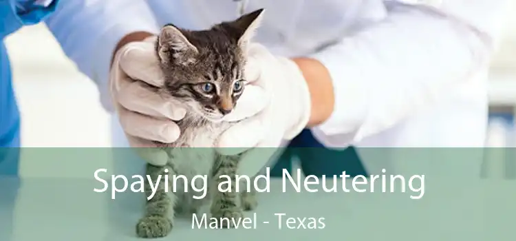 Spaying and Neutering Manvel - Texas