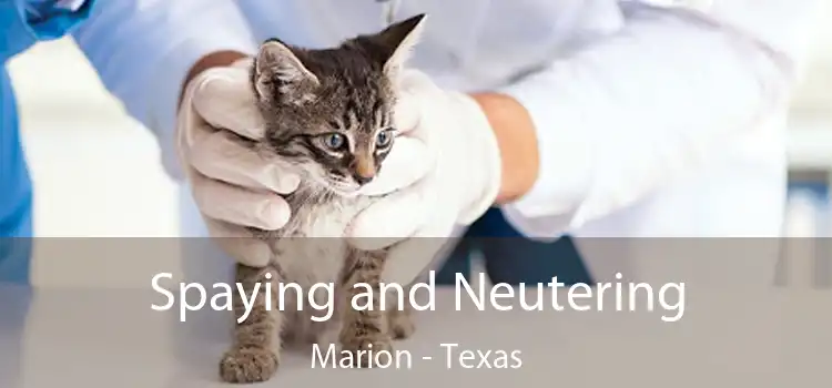 Spaying and Neutering Marion - Texas