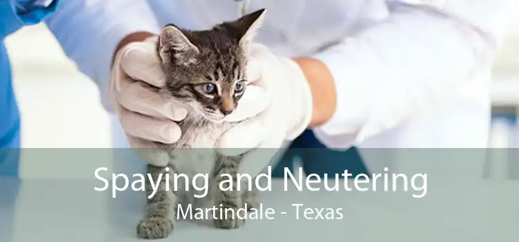 Spaying and Neutering Martindale - Texas