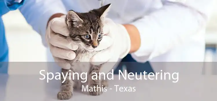 Spaying and Neutering Mathis - Texas