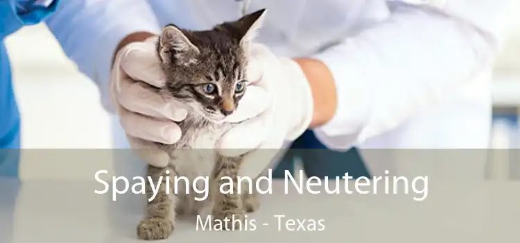 Spaying and Neutering Mathis - Texas
