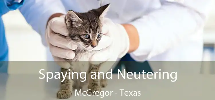 Spaying and Neutering McGregor - Texas