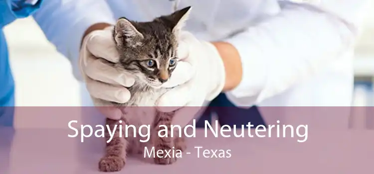 Spaying and Neutering Mexia - Texas