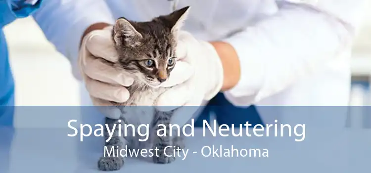 Spaying and Neutering Midwest City - Oklahoma