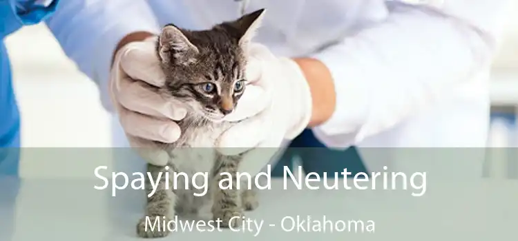 Spaying and Neutering Midwest City - Oklahoma