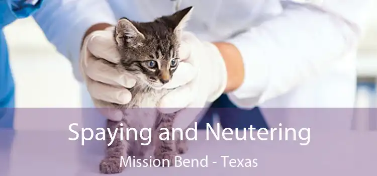 Spaying and Neutering Mission Bend - Texas