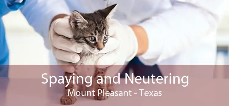 Spaying and Neutering Mount Pleasant - Texas