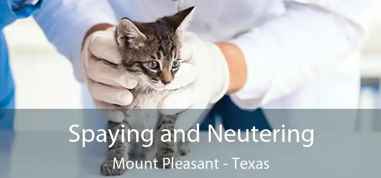 Spaying and Neutering Mount Pleasant - Texas