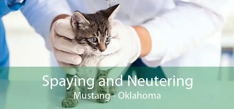 Spaying and Neutering Mustang - Oklahoma