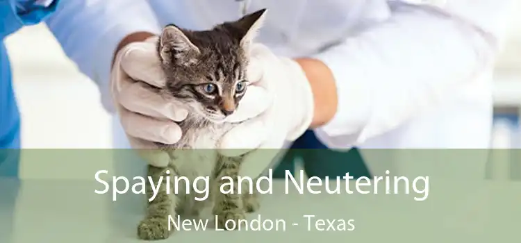 Spaying and Neutering New London - Texas