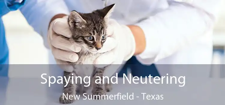 Spaying and Neutering New Summerfield - Texas