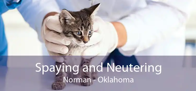 Spaying and Neutering Norman - Oklahoma