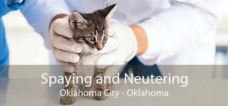 Spaying and Neutering Oklahoma City - Oklahoma
