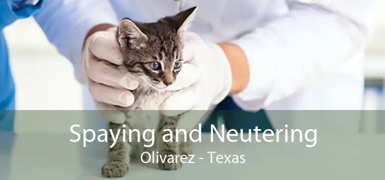 Spaying and Neutering Olivarez - Texas