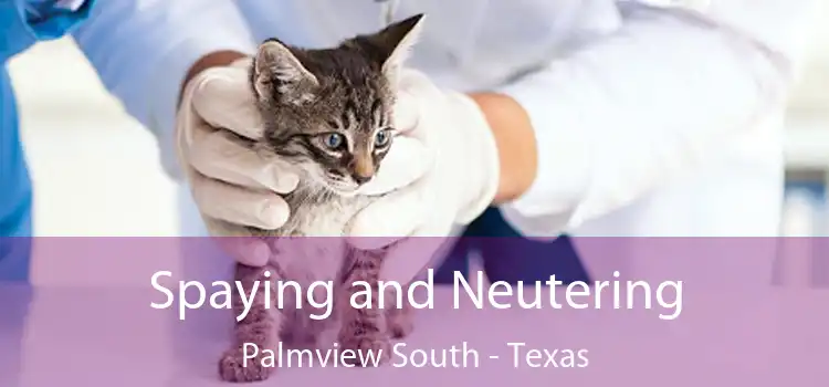Spaying and Neutering Palmview South - Texas