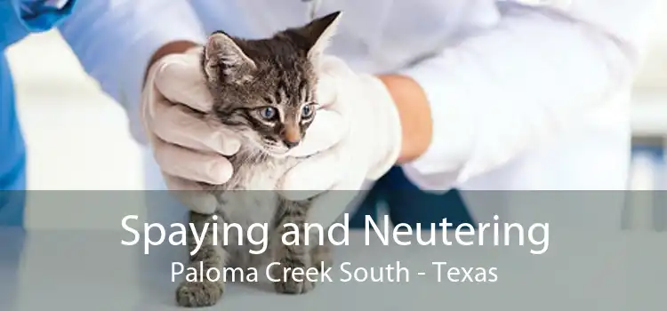 Spaying and Neutering Paloma Creek South - Texas