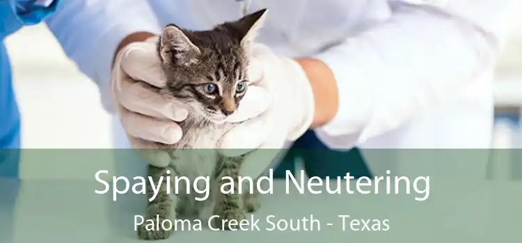 Spaying and Neutering Paloma Creek South - Texas