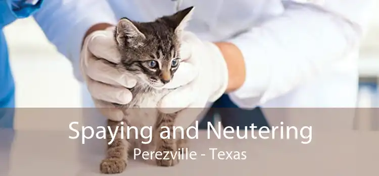 Spaying and Neutering Perezville - Texas