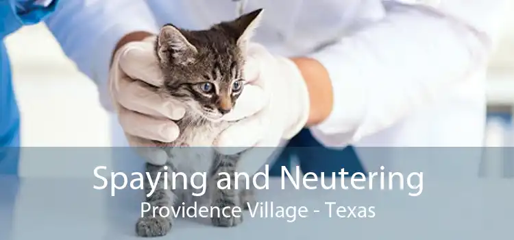 Spaying and Neutering Providence Village - Texas