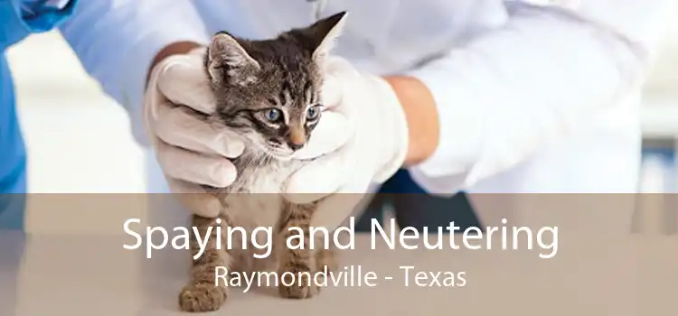 Spaying and Neutering Raymondville - Texas