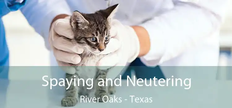 Spaying and Neutering River Oaks - Texas