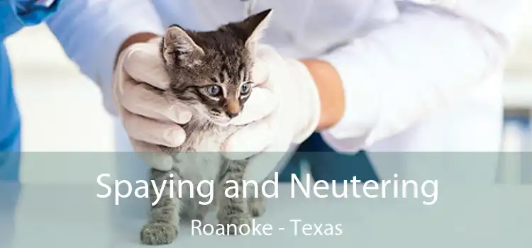 Spaying and Neutering Roanoke - Texas