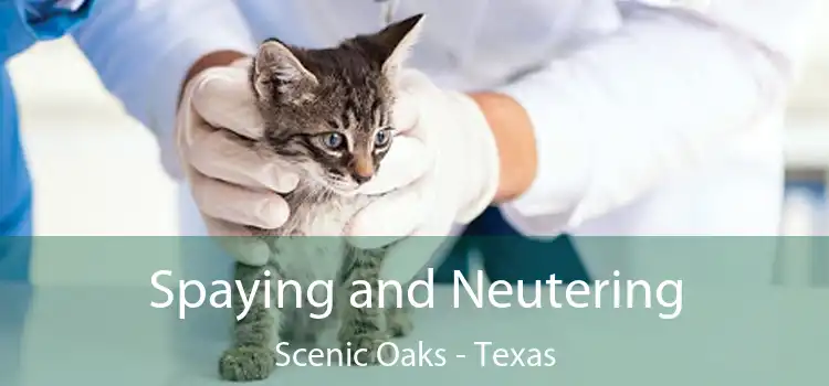 Spaying and Neutering Scenic Oaks - Texas