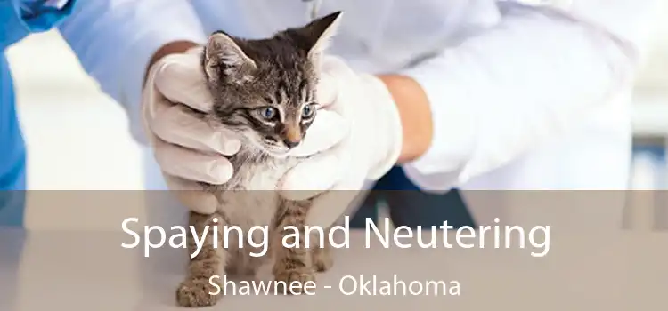 Spaying and Neutering Shawnee - Oklahoma