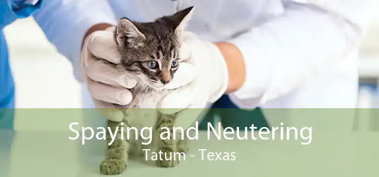 Spaying and Neutering Tatum - Texas