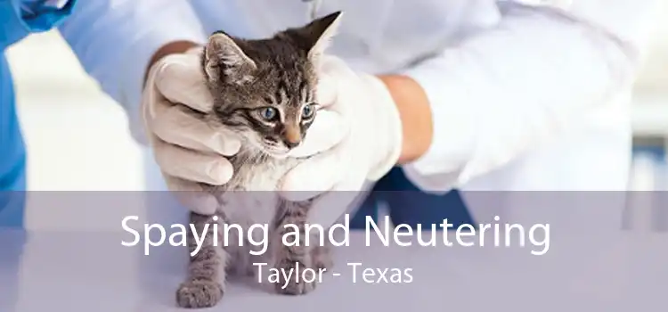 Spaying and Neutering Taylor - Texas