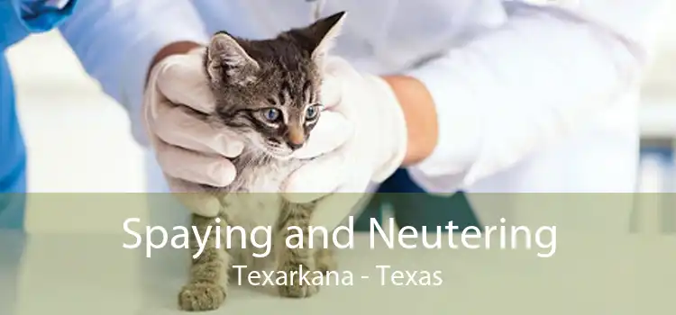 Spaying and Neutering Texarkana - Texas
