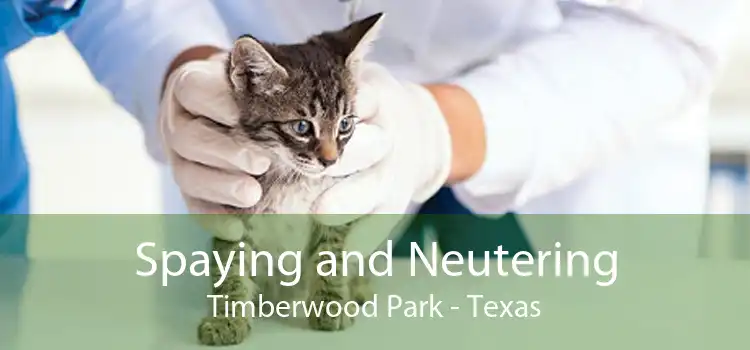 Spaying and Neutering Timberwood Park - Texas