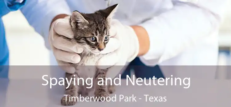 Spaying and Neutering Timberwood Park - Texas