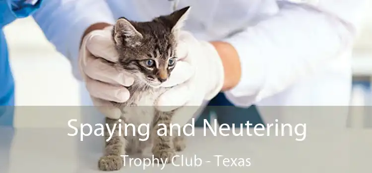 Spaying and Neutering Trophy Club - Texas