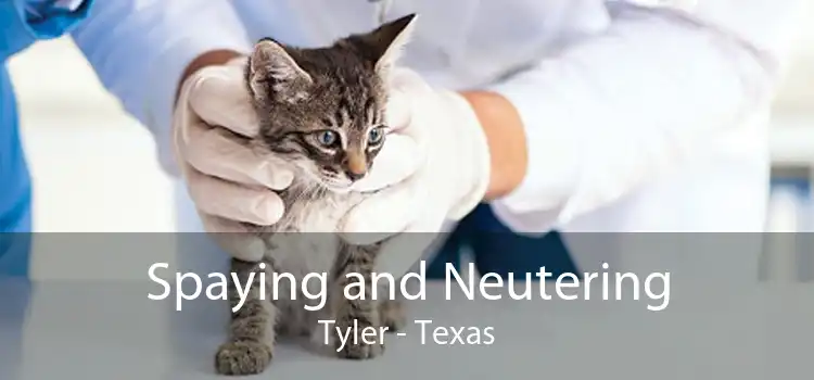 Spaying and Neutering Tyler - Texas