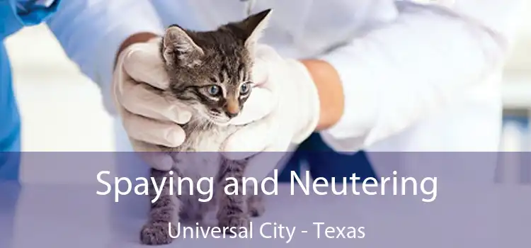 Spaying and Neutering Universal City - Texas