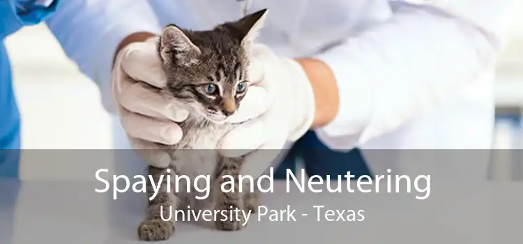Spaying and Neutering University Park - Texas