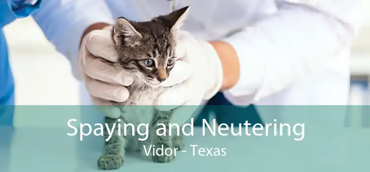 Spaying and Neutering Vidor - Texas
