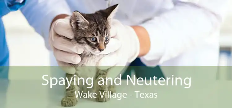 Spaying and Neutering Wake Village - Texas