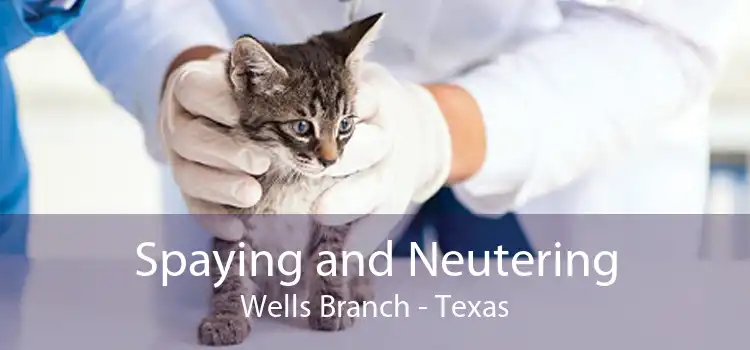 Spaying and Neutering Wells Branch - Texas