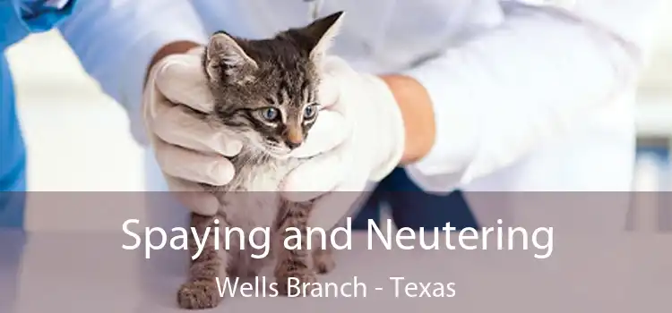 Spaying and Neutering Wells Branch - Texas