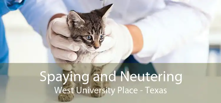 Spaying and Neutering West University Place - Texas