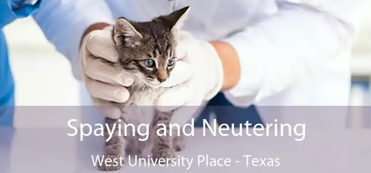 Spaying and Neutering West University Place - Texas