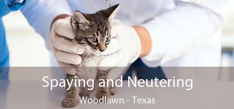 Spaying and Neutering Woodlawn - Texas