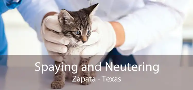 Spaying and Neutering Zapata - Texas