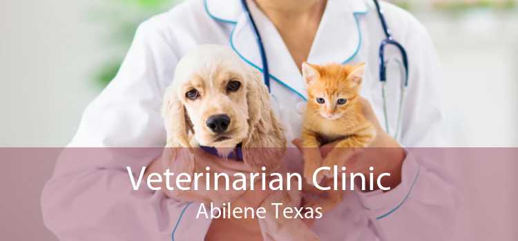 Veterinarian Clinic Abilene Texas