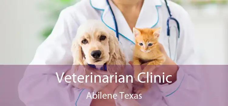 Veterinarian Clinic Abilene Texas