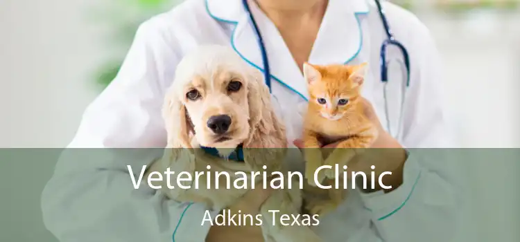 Veterinarian Clinic Adkins Texas