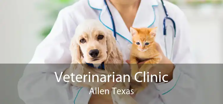 Veterinarian Clinic Allen Texas