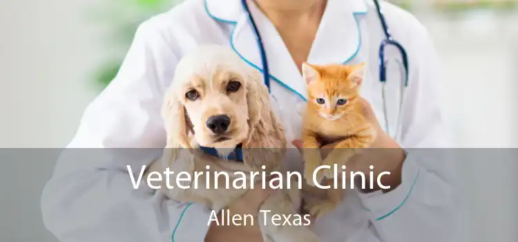 Veterinarian Clinic Allen Texas